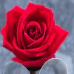 Meet your Posher, Cathy